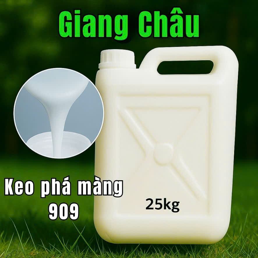 Keo phá màng 909 2